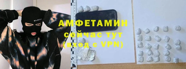 ПСИЛОЦИБИНОВЫЕ ГРИБЫ Осинники