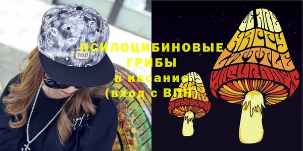прущие грибы Алексеевка